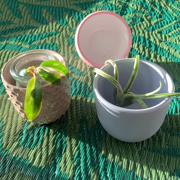 🪴Bundle of 3 mini planters - Picture 3 of 14